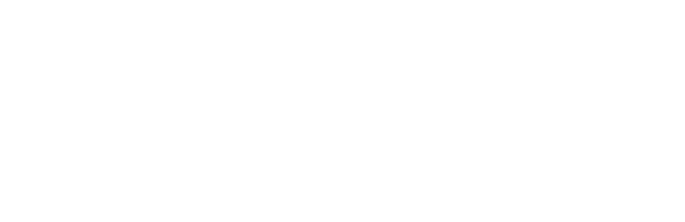 Krieger & Partner Management Consult